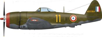 Profil du Républic P40 Thunderbolt