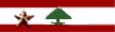 Mérite Libanais
