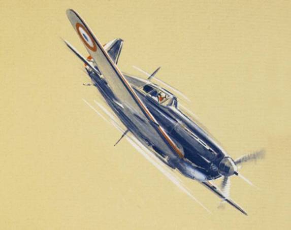 Morane Saulnier 406 - Profils