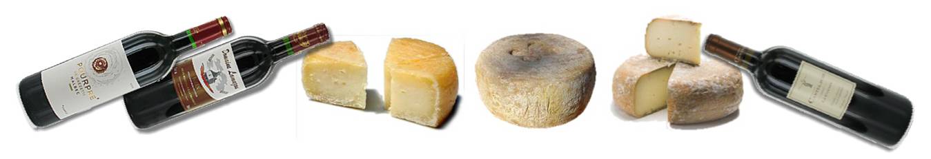 Vins et fromages de brebis du Béarn
